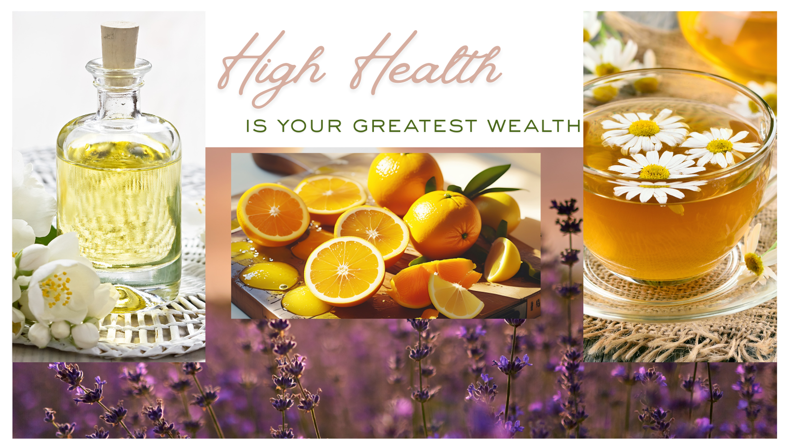 MV Wellness Center Banner